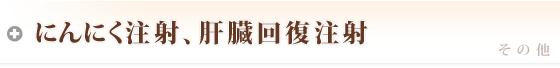 にんにく注射、肝臓回復注射